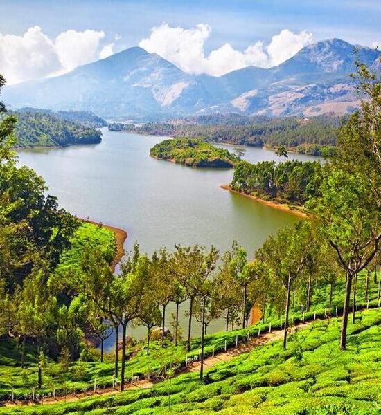 Holidays Munnar
