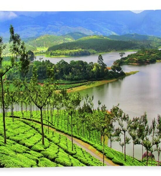 Holidays Munnar