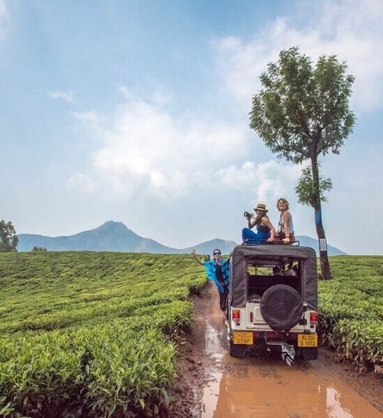 Holidays Munnar