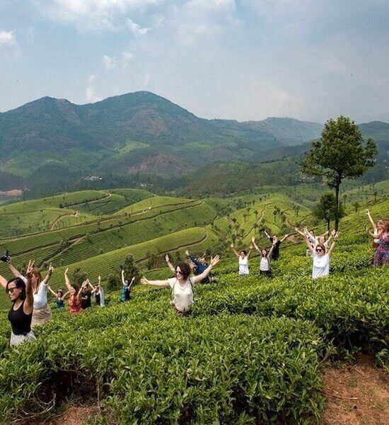 Holidays Munnar