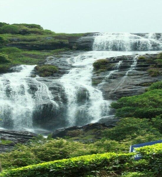 Holidays Munnar