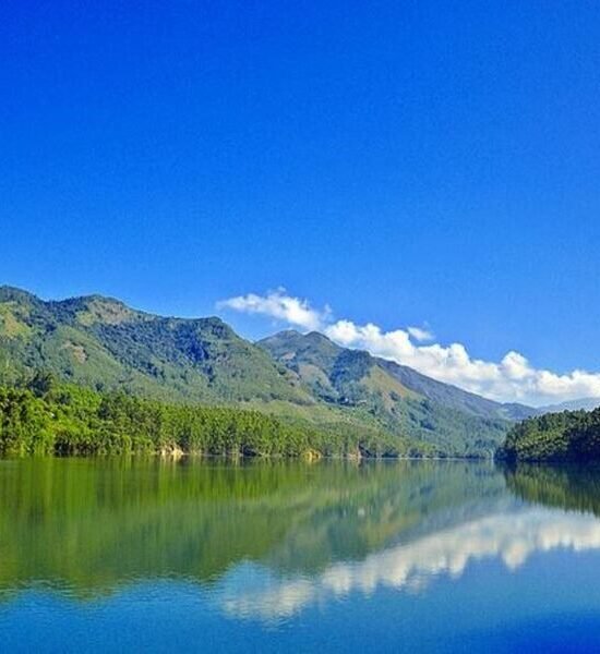Holidays Munnar