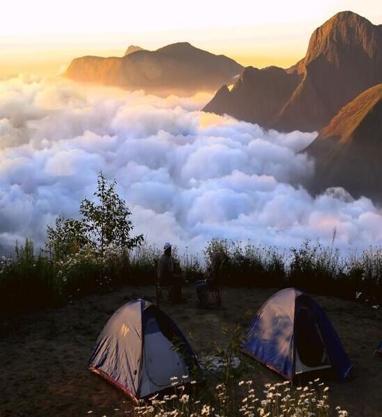 Holidays Munnar