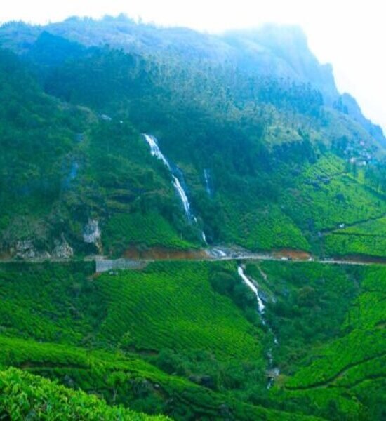 Holidays Munnar