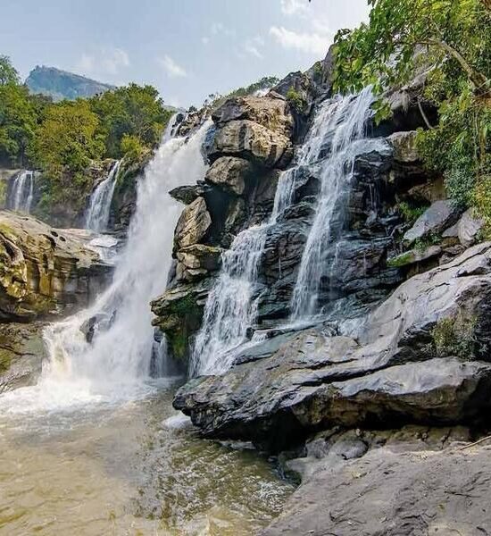 Holidays Munnar