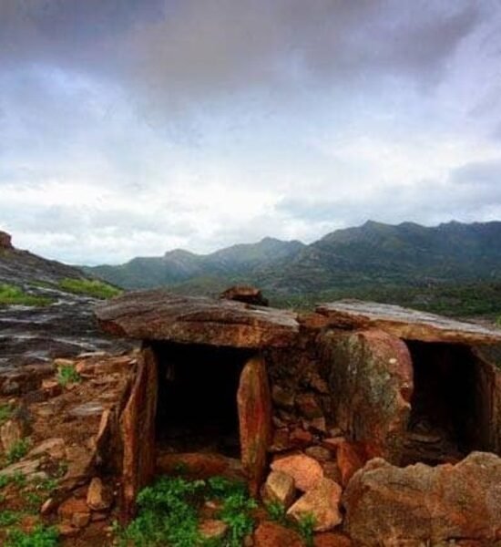 Holidays Munnar