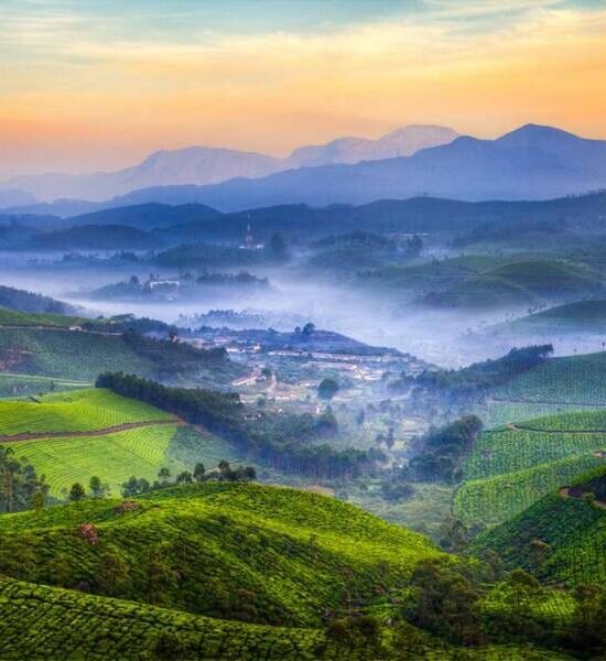 Holidays Munnar