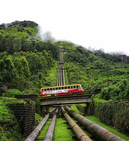 Holidays Munnar